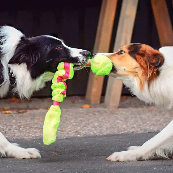 Dogman Stretch Hundelegetøj – billede 2