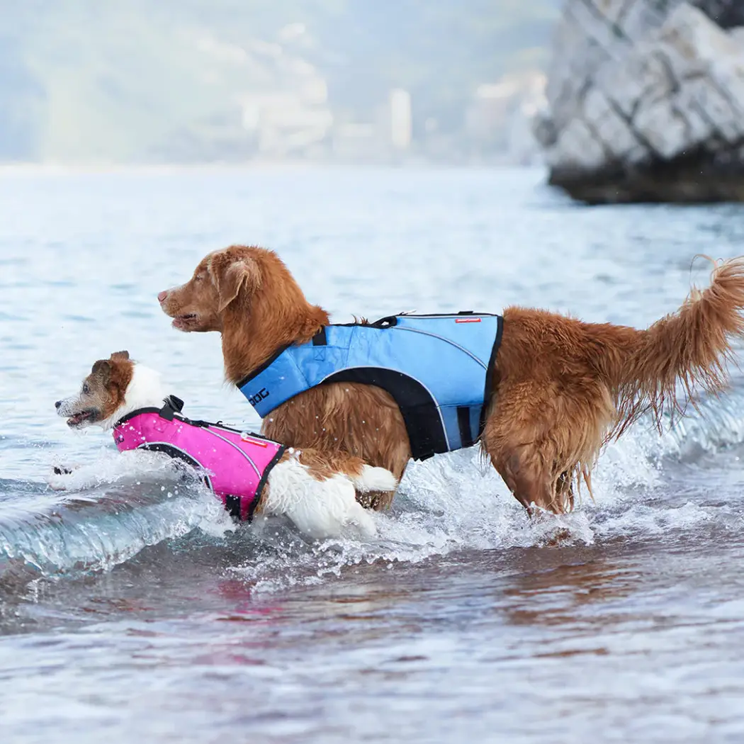 EzyDog Redningsvest DFD X2 Boost – billede 4