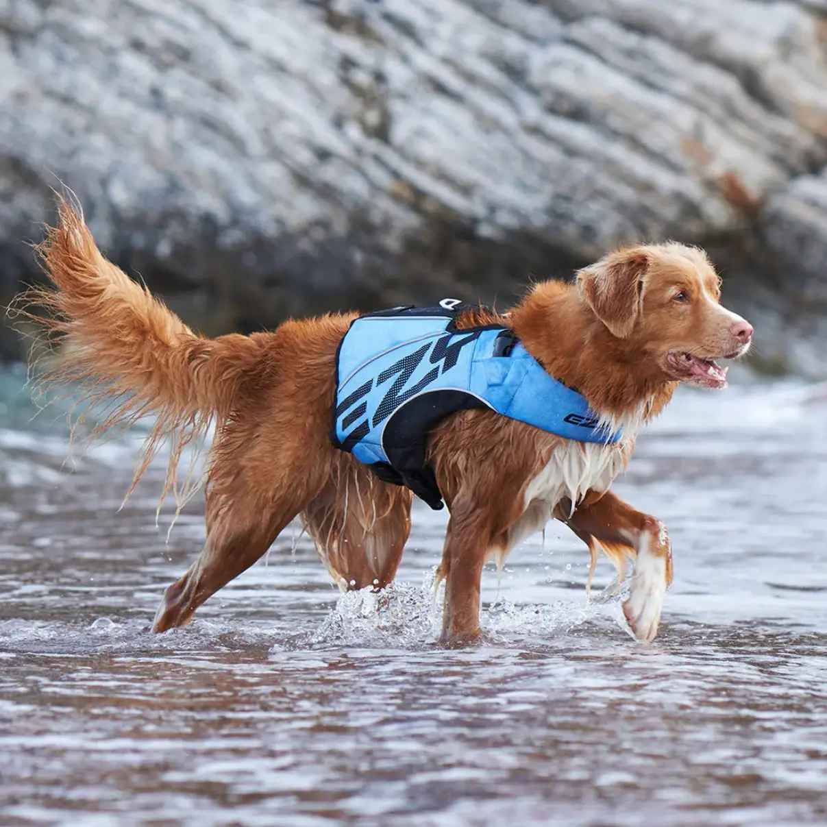 EzyDog Redningsvest DFD X2 Boost – billede 2