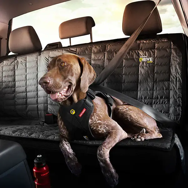 EzyDog Crashtestet Transport Sikkerhedssele S – billede 15