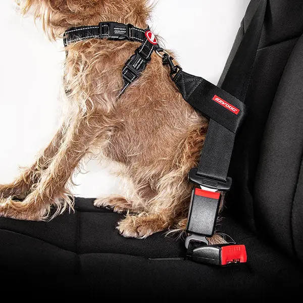 EzyDog Sikkerhedssele Håndtag Til Hund - Rem – billede 5