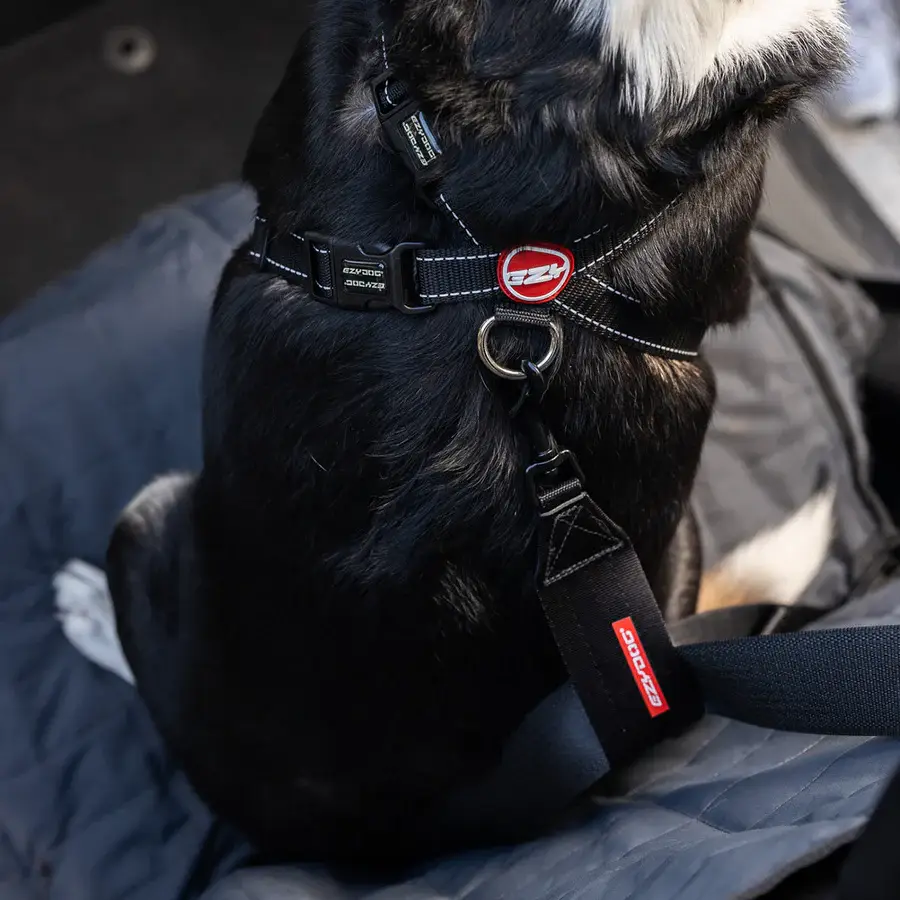 EzyDog Sikkerhedssele Håndtag Til Hund - Rem – billede 3