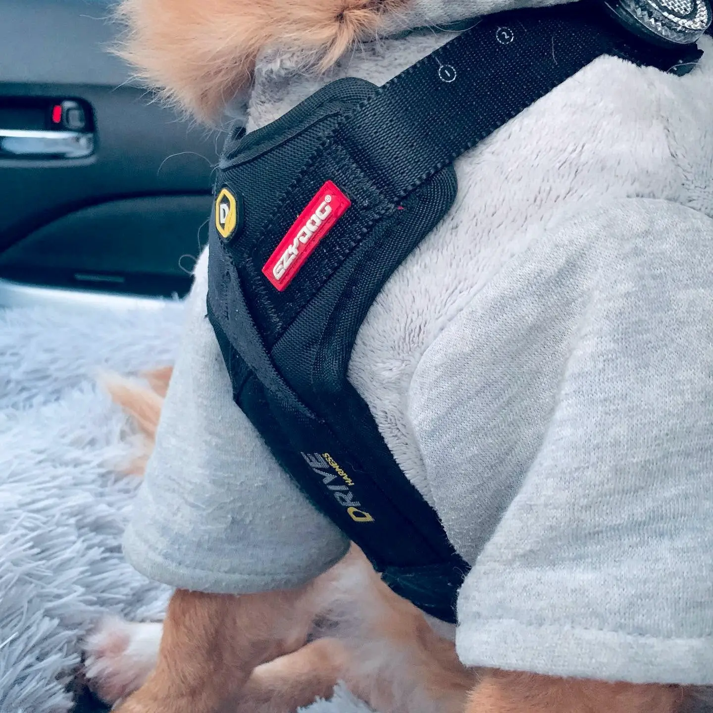 EzyDog Crashtestet Transport Sikkerhedssele S – billede 6