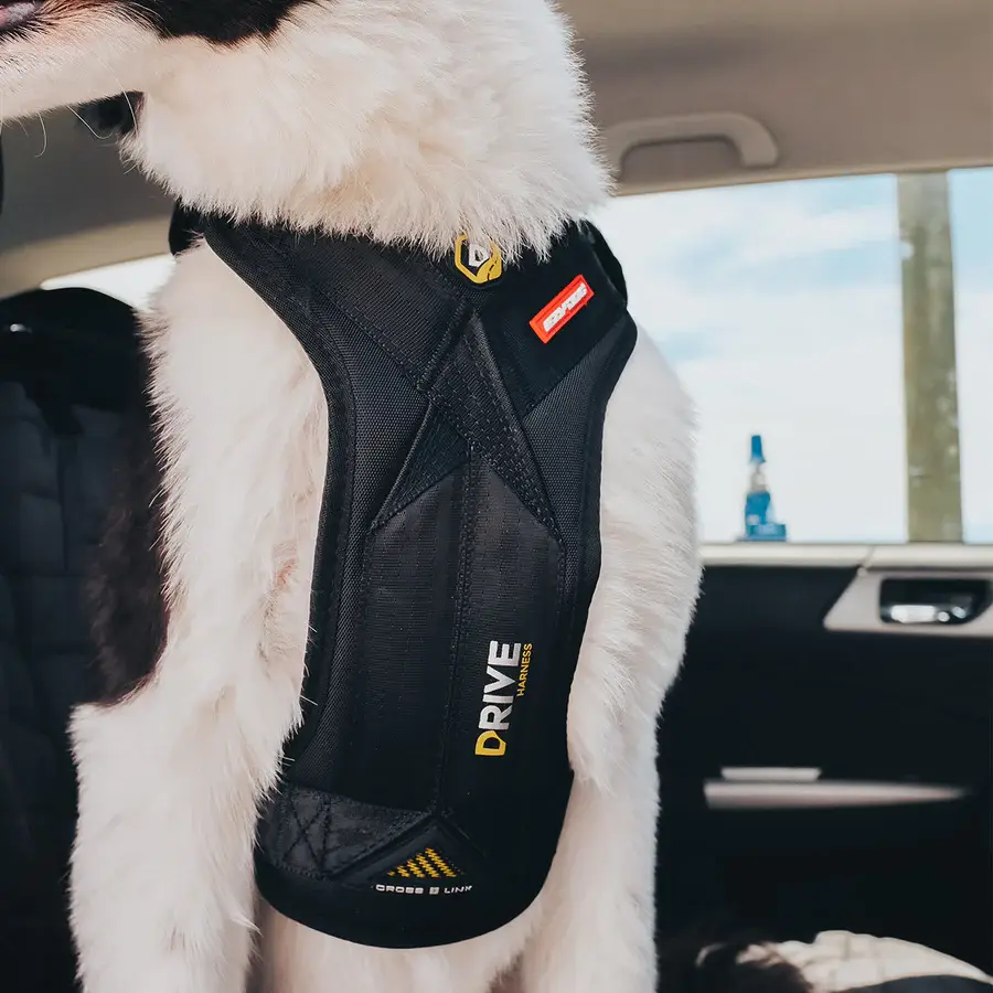 EzyDog Crashtestet Transport Sikkerhedssele S – billede 13