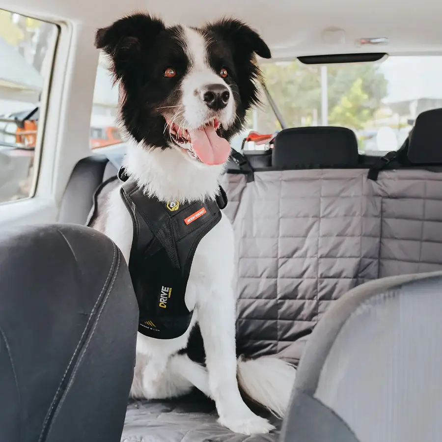 EzyDog Crashtestet Transport Sikkerhedssele S – billede 2