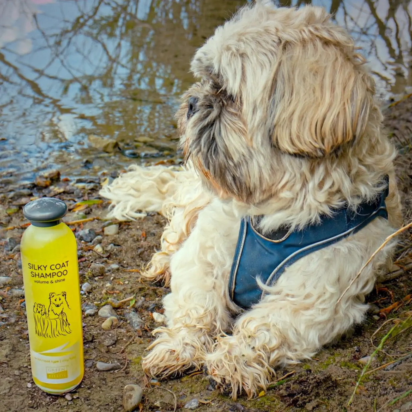 Greenfields Yorkshire Terrier Care Sæt - 2x270ml – billede 7