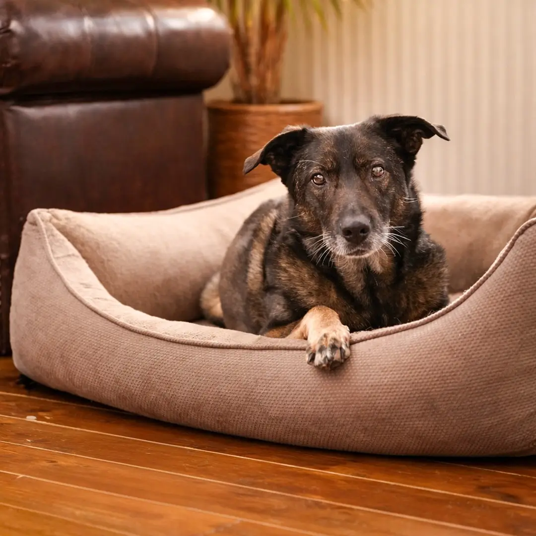 Petlando Lucy Ortopædisk Hundeseng – billede 11