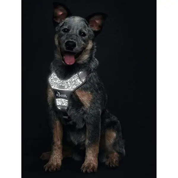 Hunter Divo Refleks Hundesele – billede 2