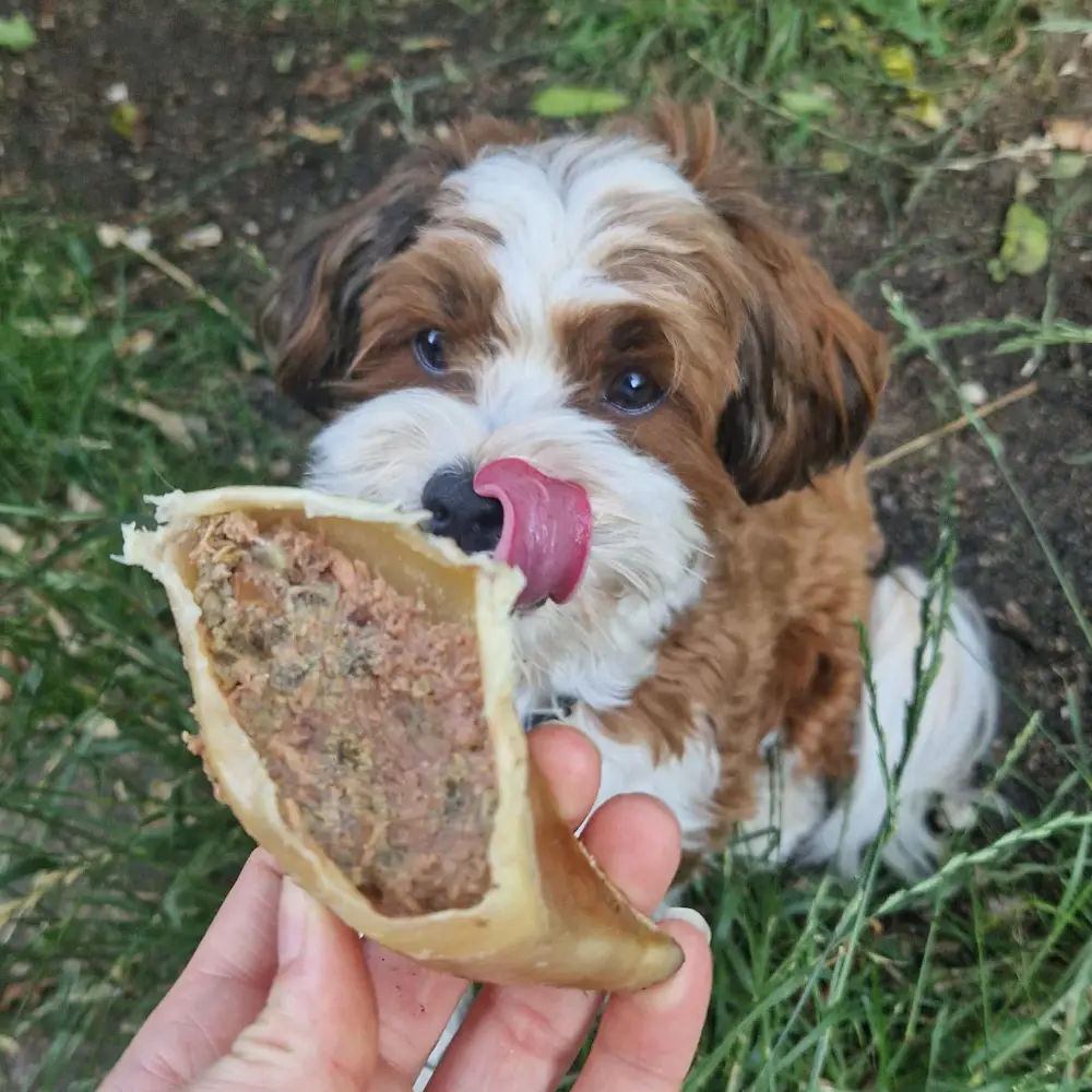 Snack'it Kalveklove – billede 2