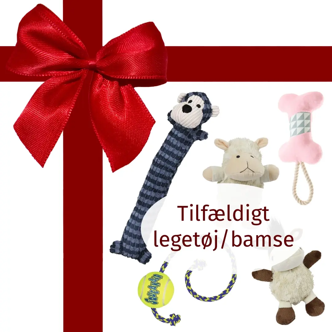 Lille surpricepakke – billede 2