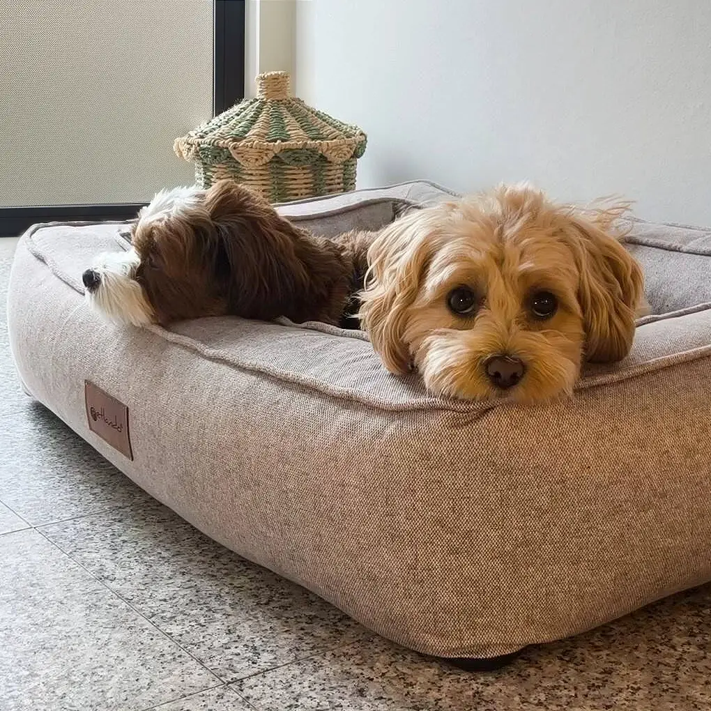 Petlando Lima Ortopædisk Hundeseng – billede 4