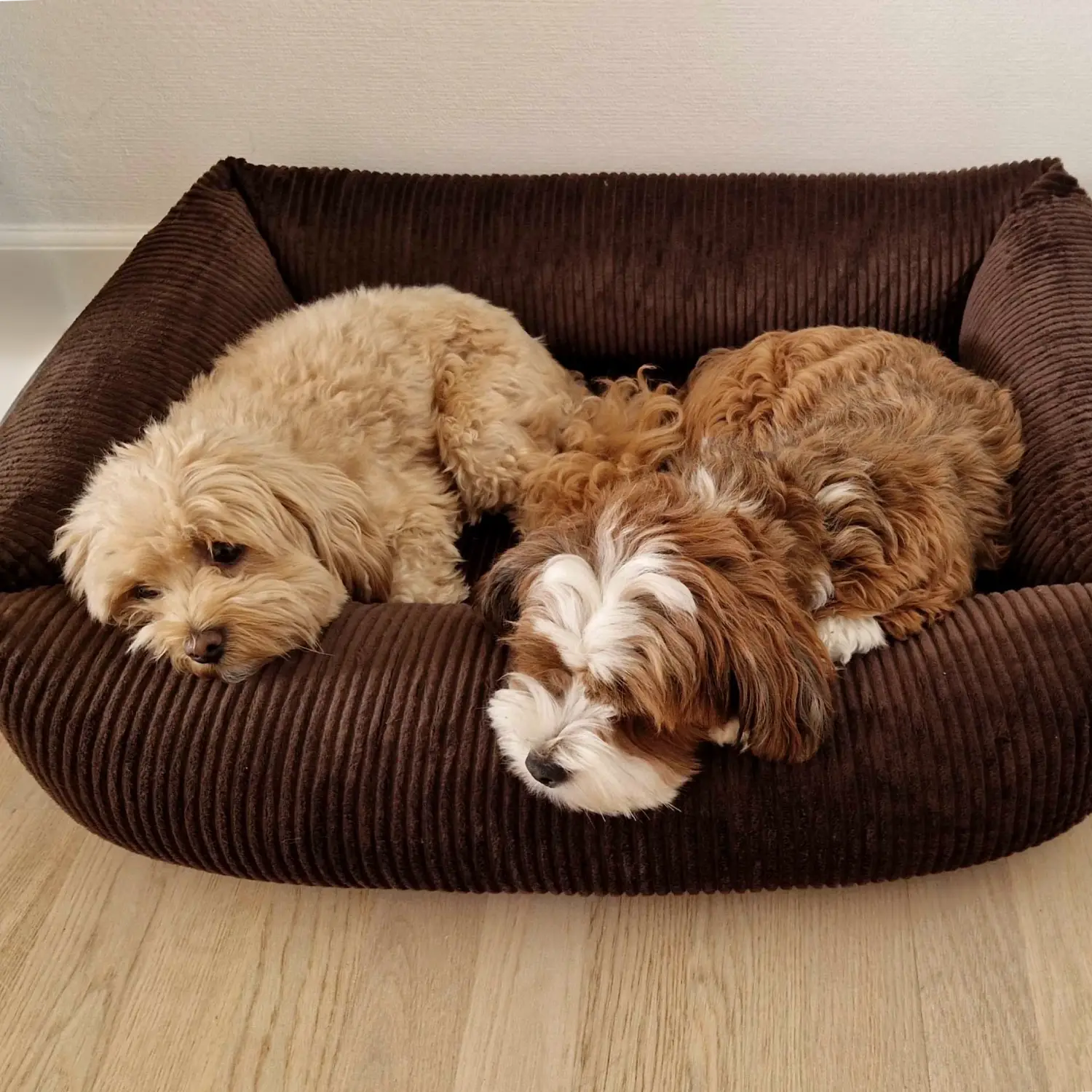 Petlando Luke Ortopædisk Hundeseng – billede 10