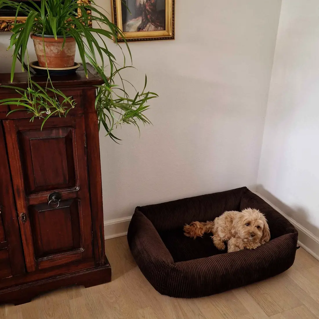 Petlando Luke Ortopædisk Hundeseng – billede 3