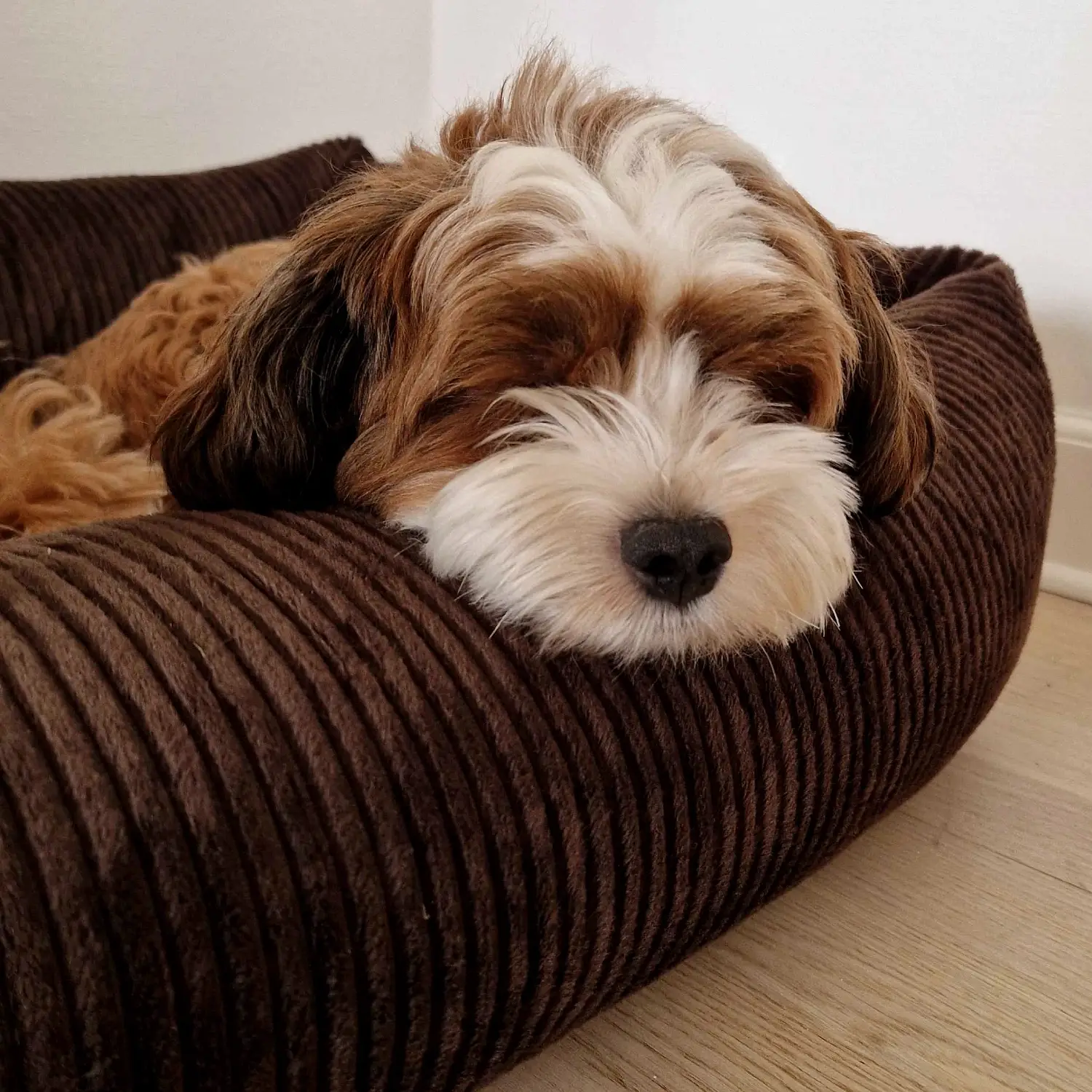 Petlando Luke Ortopædisk Hundeseng – billede 5