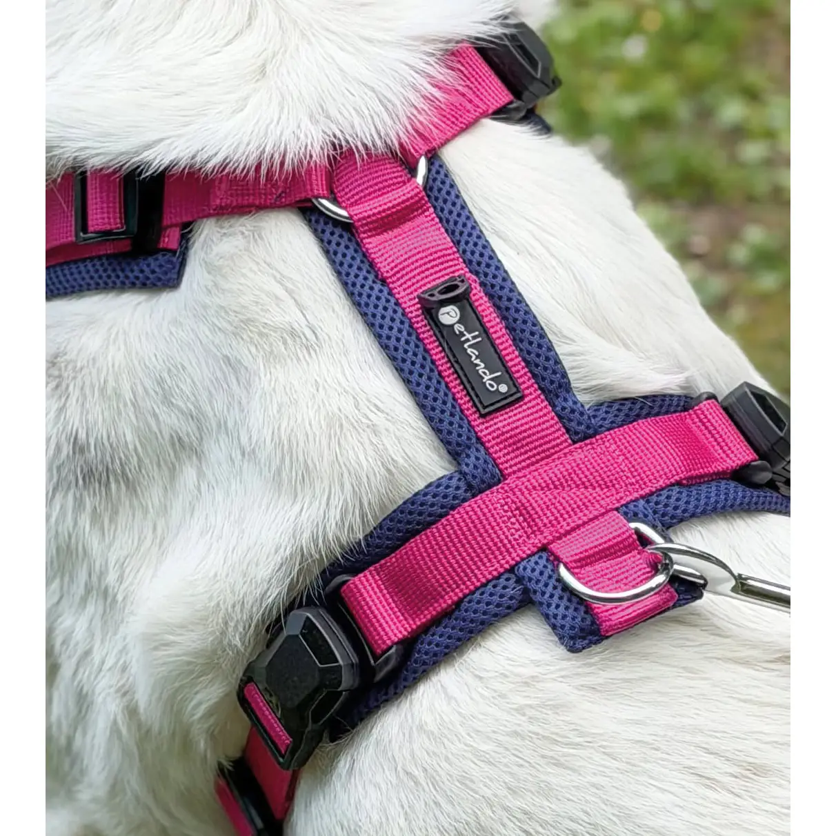 Petlando Mesh Y-Comfort Magnetech Hundesele – billede 8
