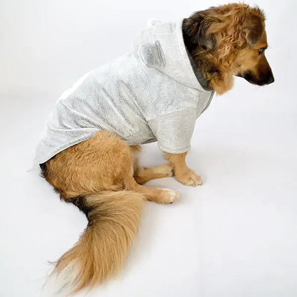 Nayeco Teddy Star Vendbar Hoodie Hundetrøje – billede 3