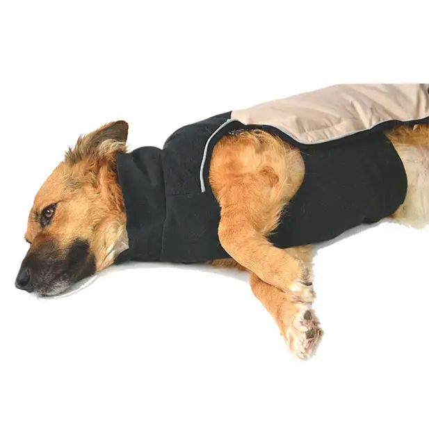 Peppy Buddies Sporty Termo Hundejakke - Beige – billede 7