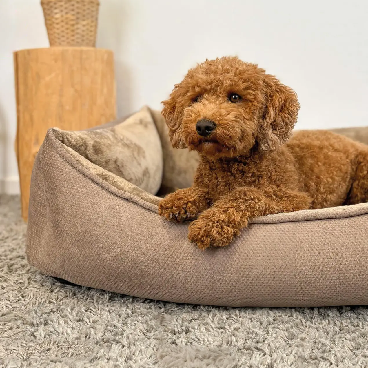 Petlando Lucy Ortopædisk Hundeseng – billede 2