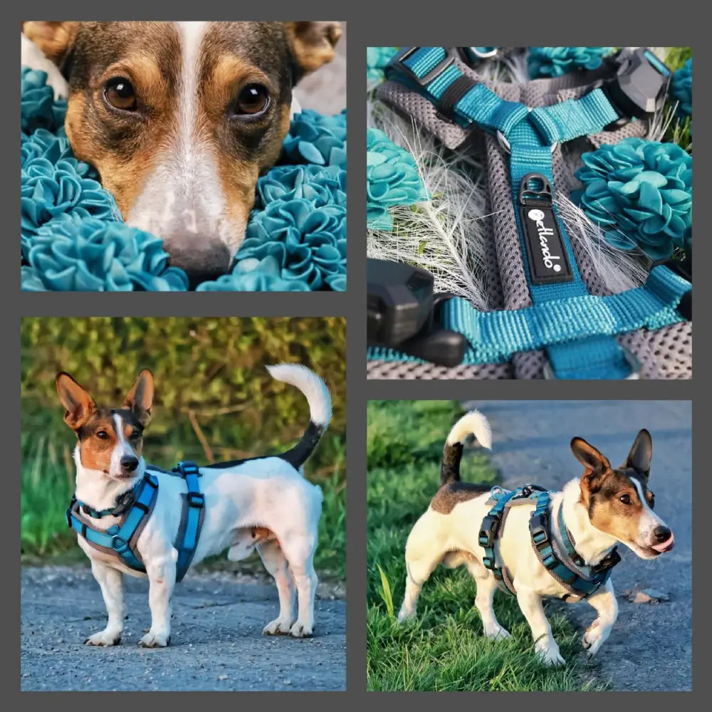 Petlando Mesh Y-Comfort Magnetech Hundesele – billede 6