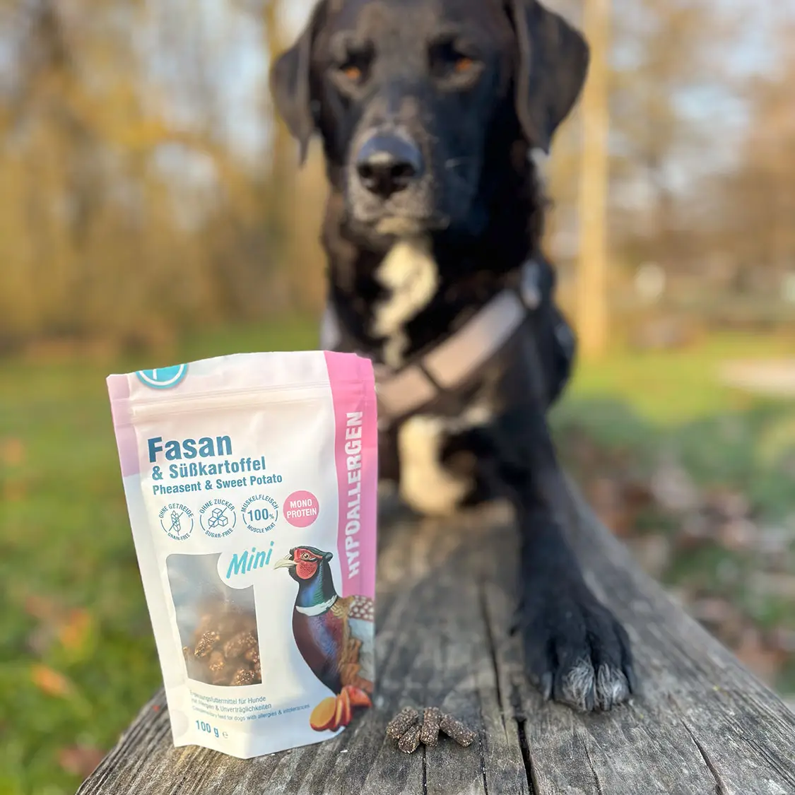 Petlando Hypoallergene Softsnacks Mini – billede 2
