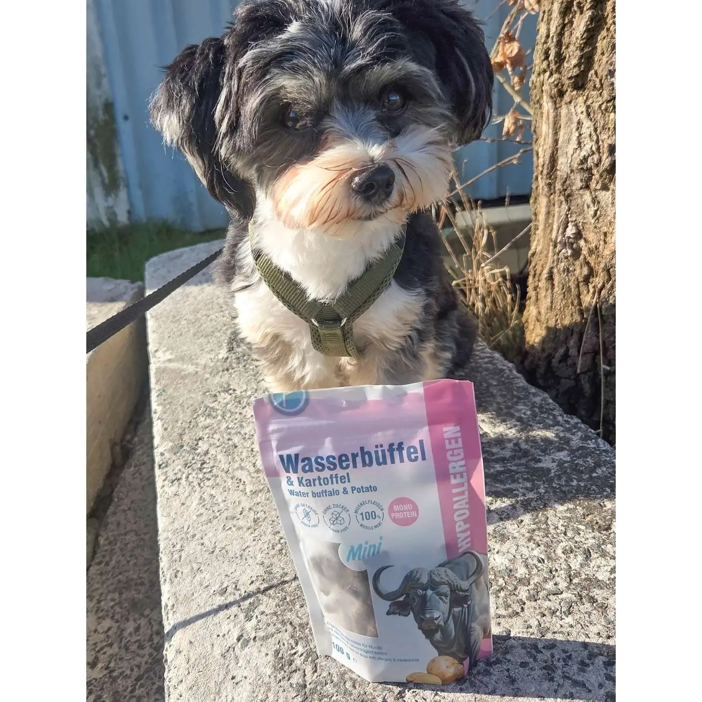 Petlando Hypoallergene Softsnacks Mini – billede 2