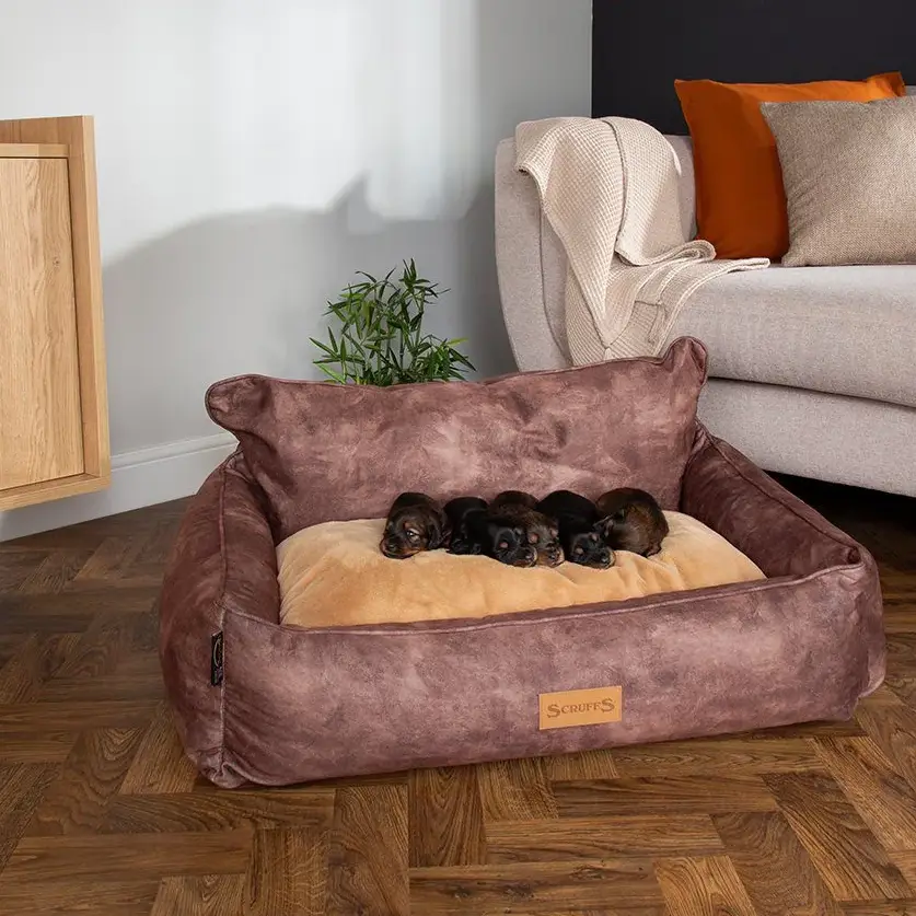 Scruffs Kensington Hundeseng – billede 2