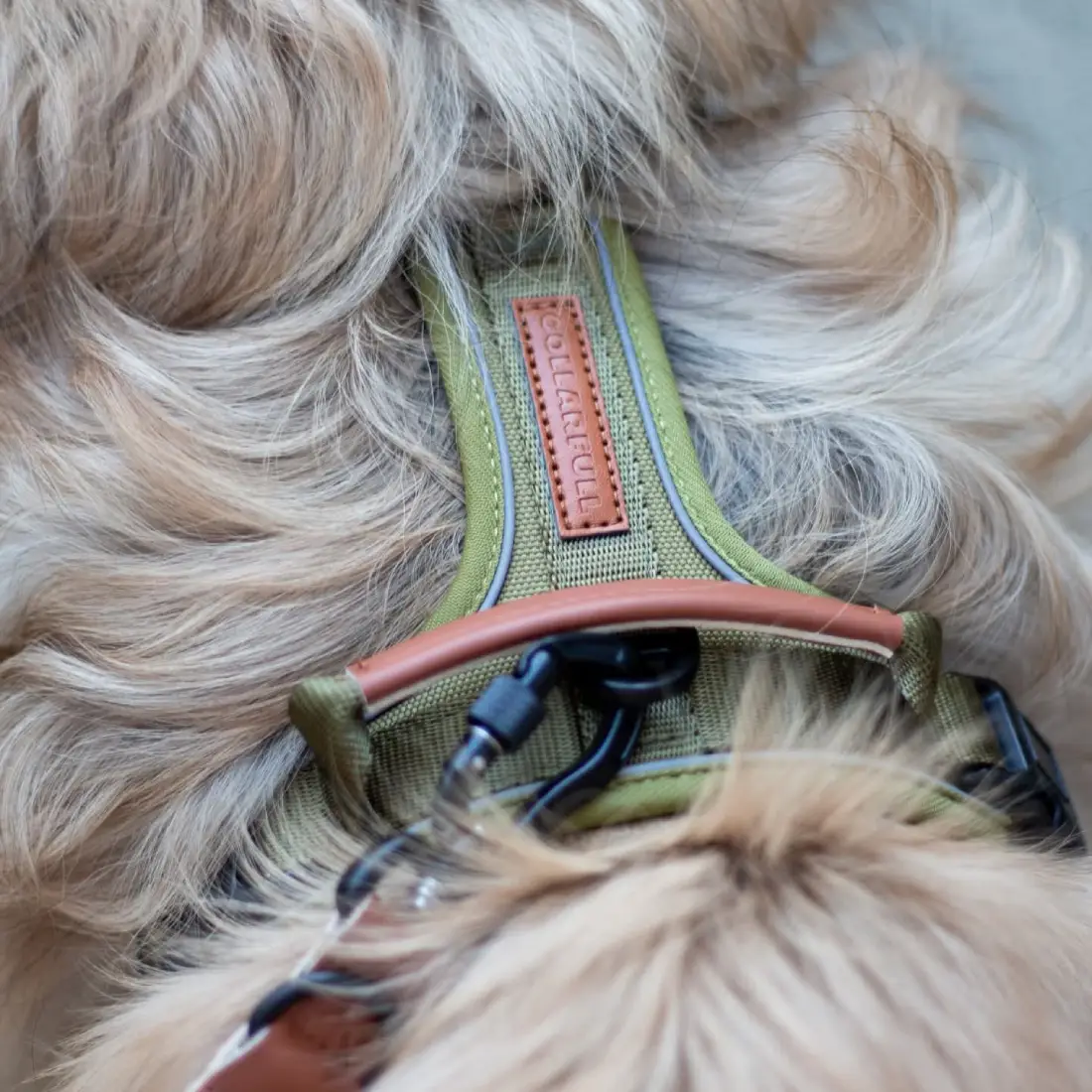 Collarfull Terrain Trails Pro Hundesele – billede 4