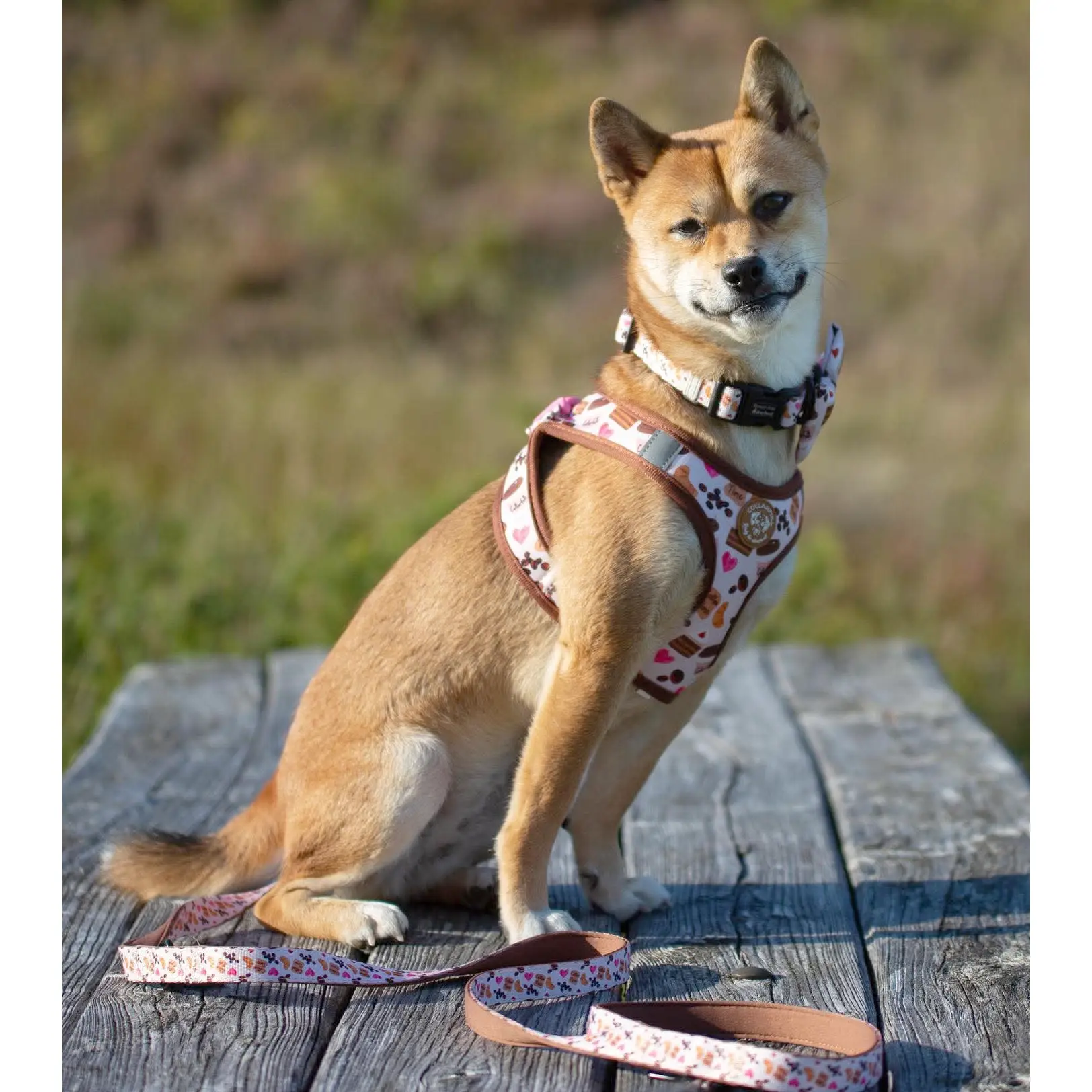 Collarfull Tiny Trails Step-in Hundesele – billede 10