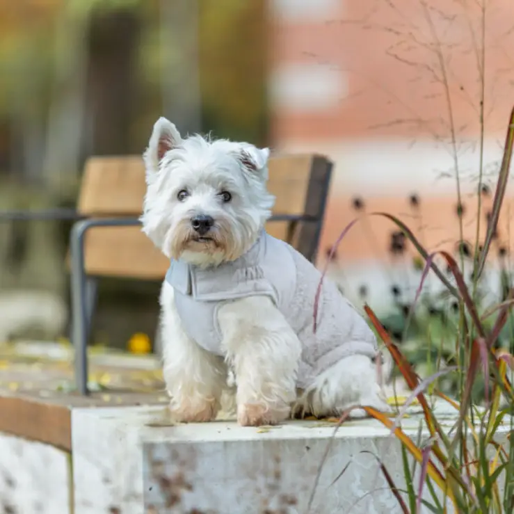 Trixie Ajou Hundejakke - Grå – billede 4
