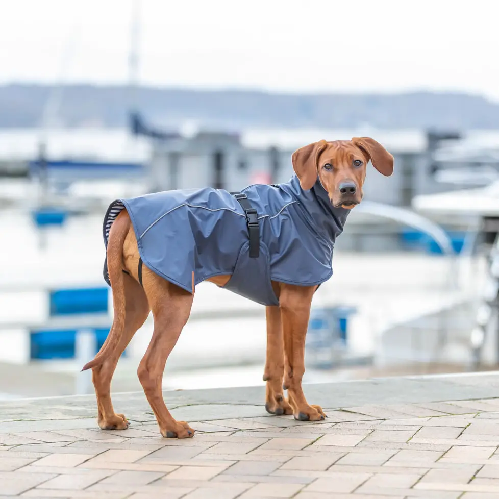 Trixie Be Nordic Hunde Regnjakke – billede 6