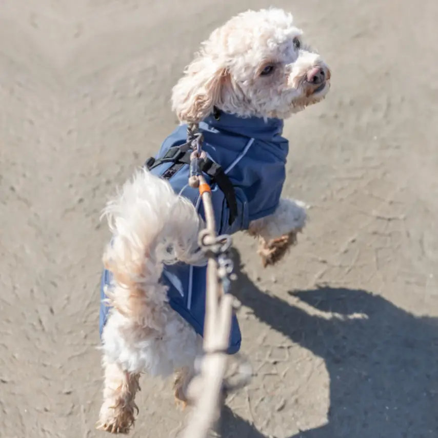 Trixie Be Nordic Hunde Regnjakke – billede 2