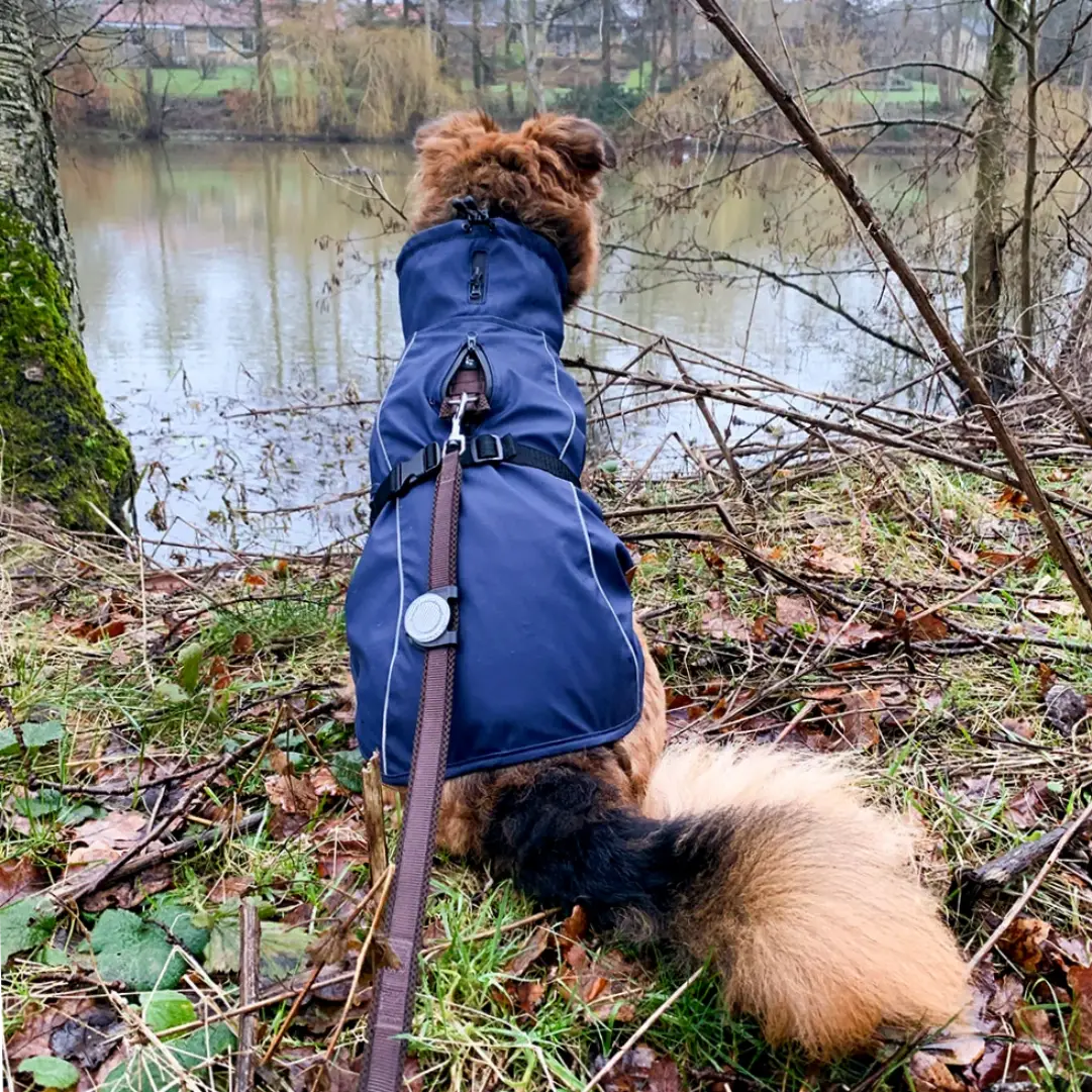 Trixie Be Nordic Hunde Regnjakke – billede 3