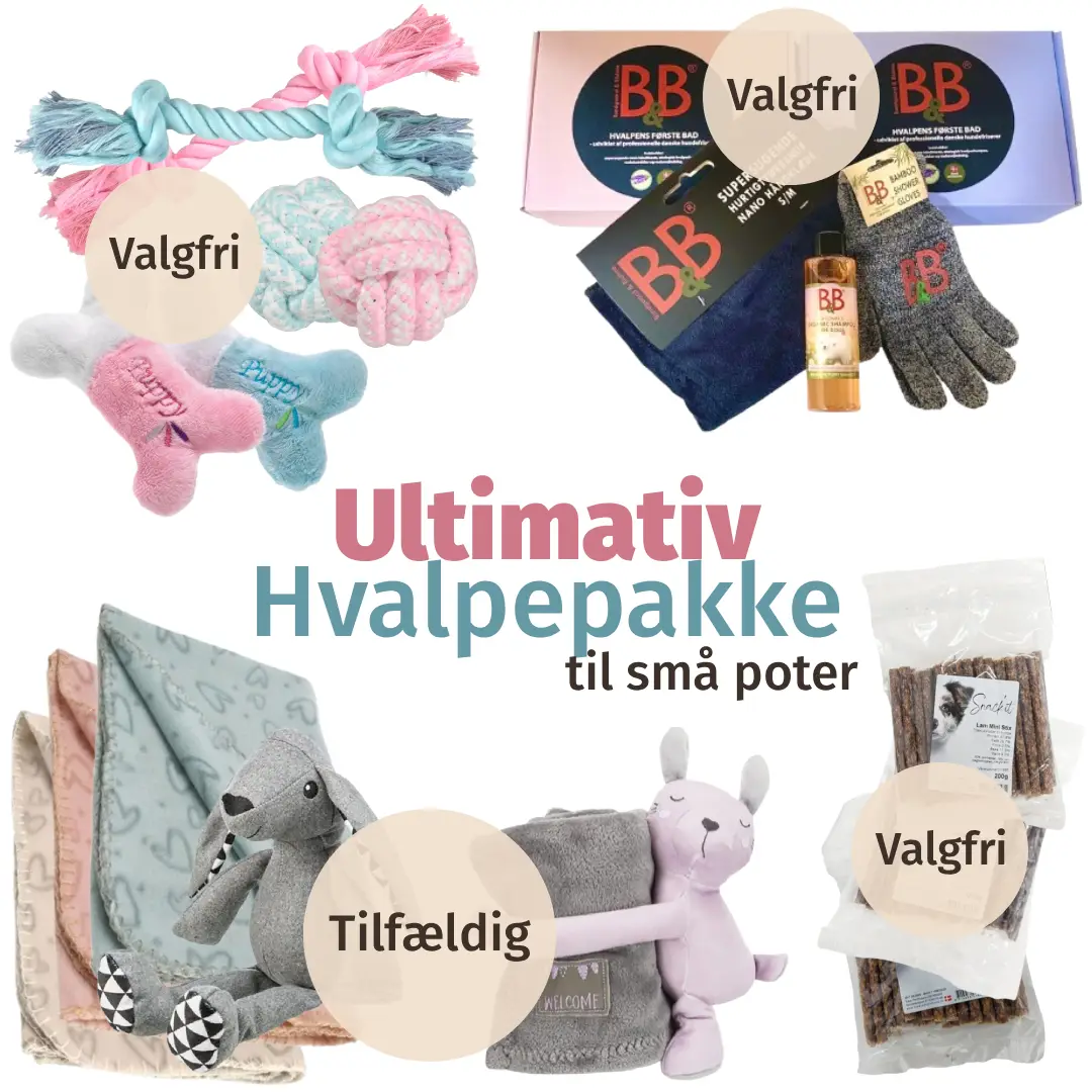 Ultimativ Hvalpepakke Til Små Poter