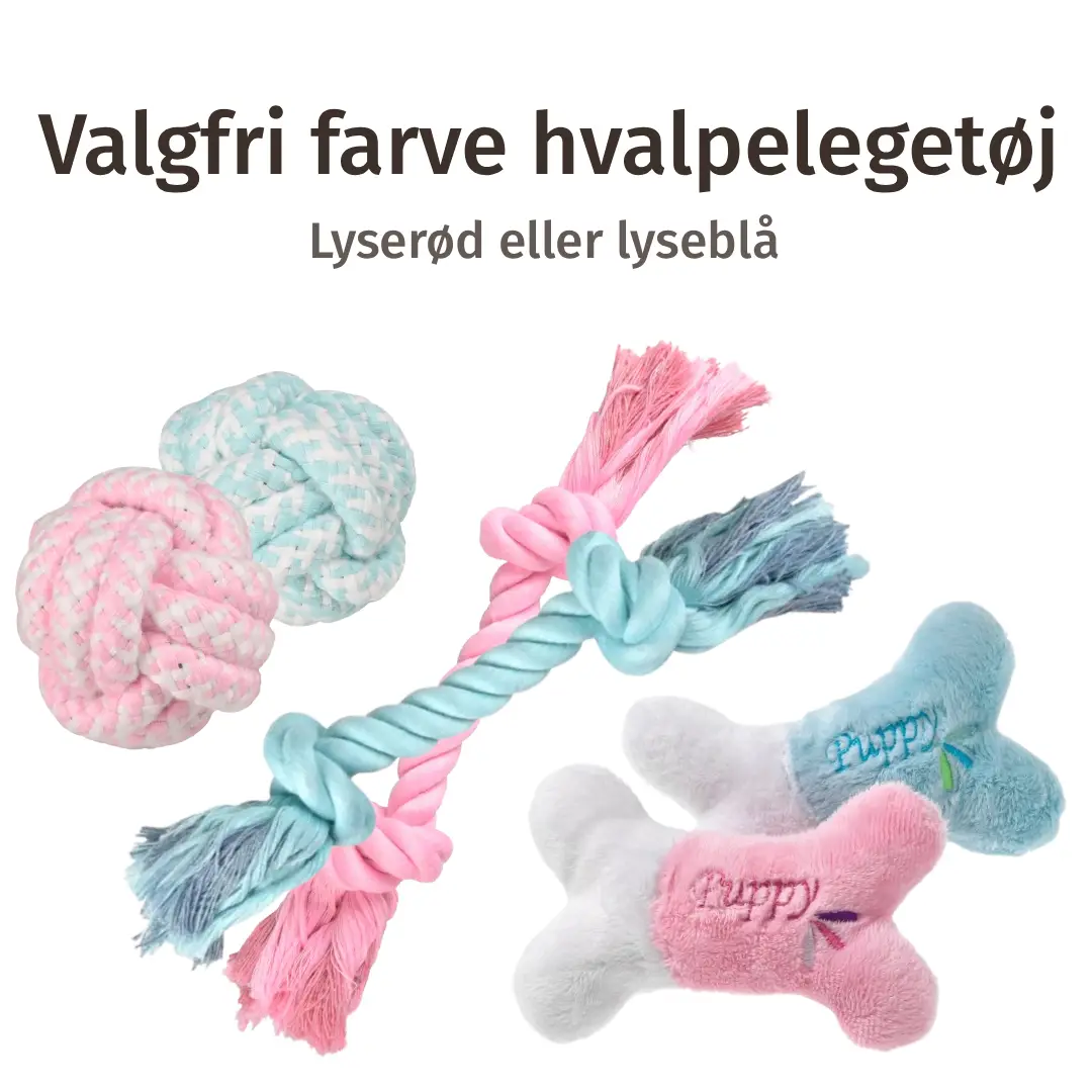 Ultimativ Hvalpepakke Til Små Poter – billede 4