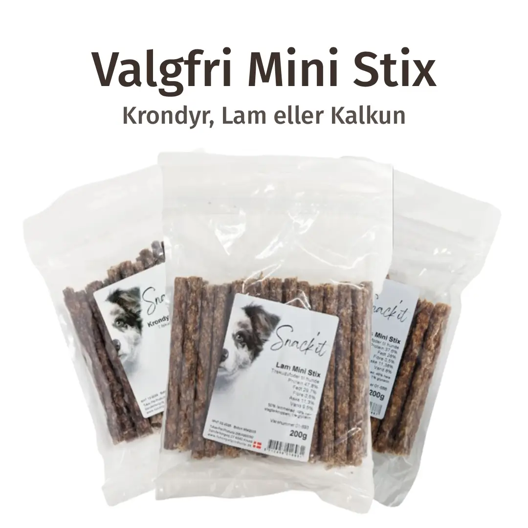 Ultimativ Hvalpepakke Til Små Poter – billede 2